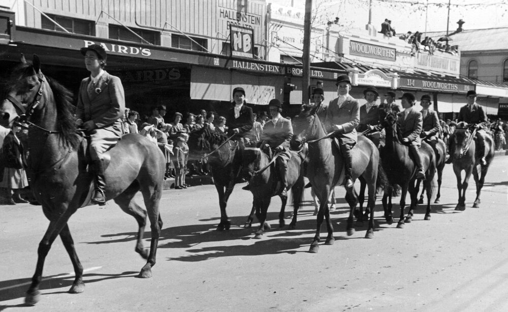 Horses and Dogs on Parade