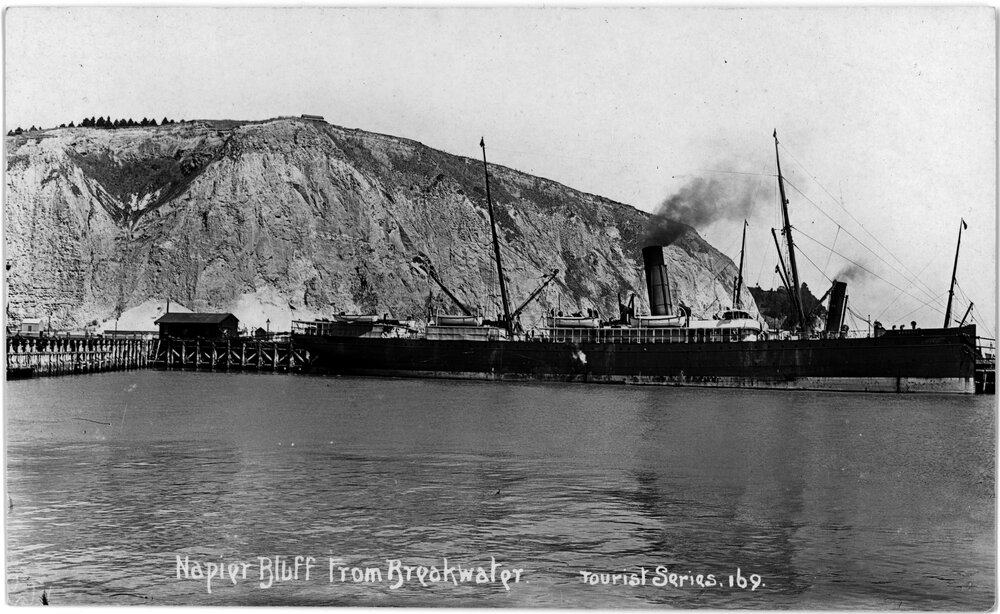 Napier Bluff From Breakwater