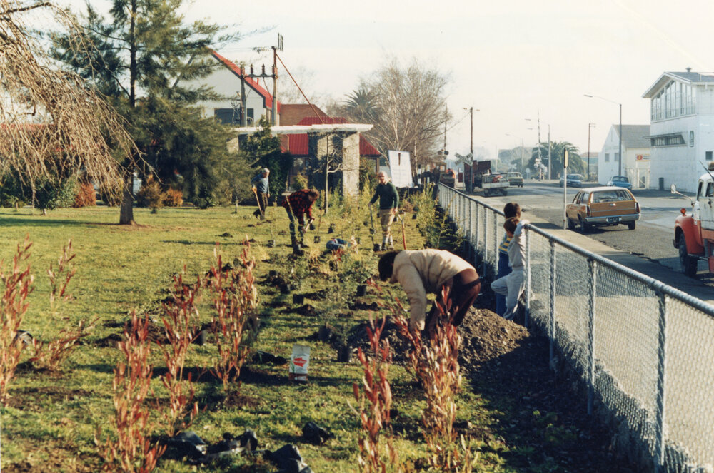 Hastings Central School Planting
