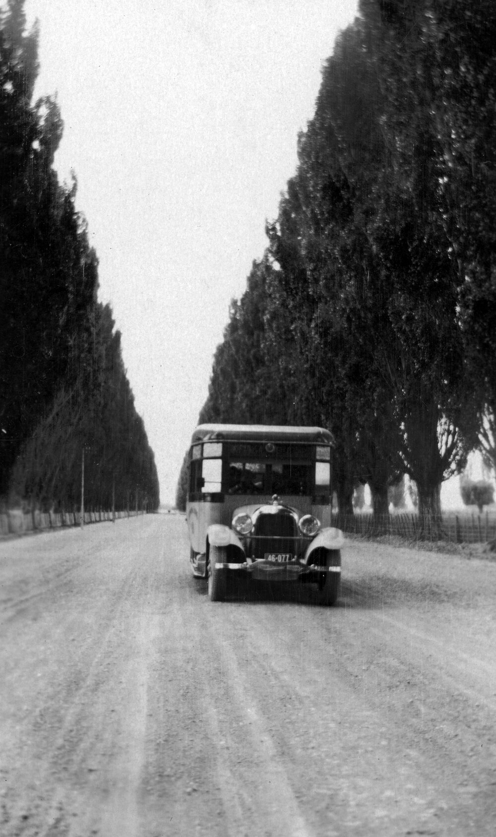 Poplar Avenue Hastings