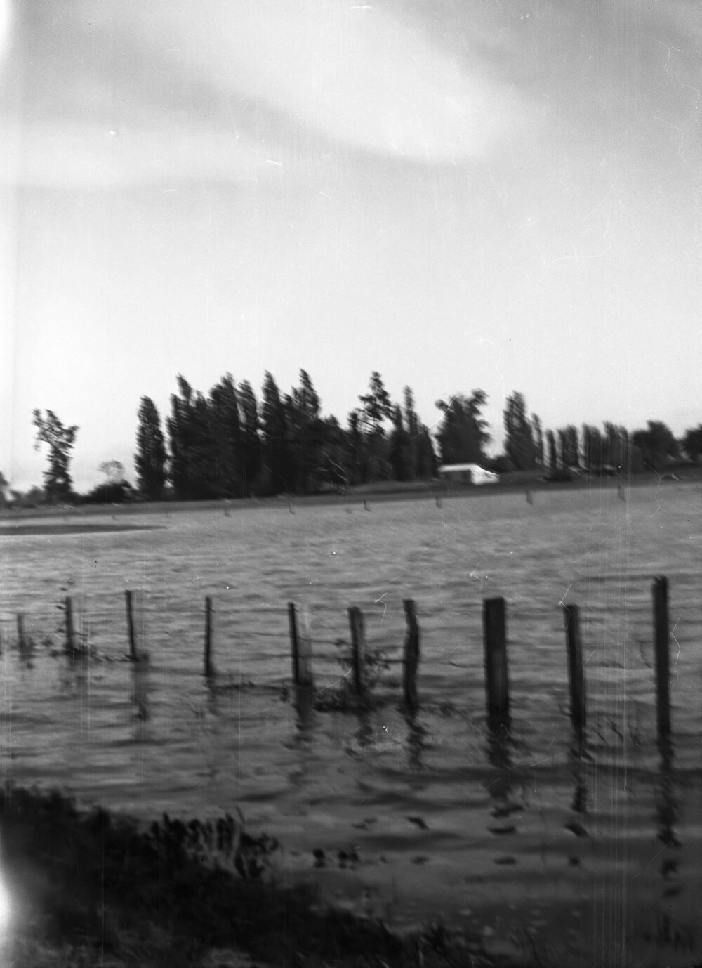 Flooding Poplar Avenue