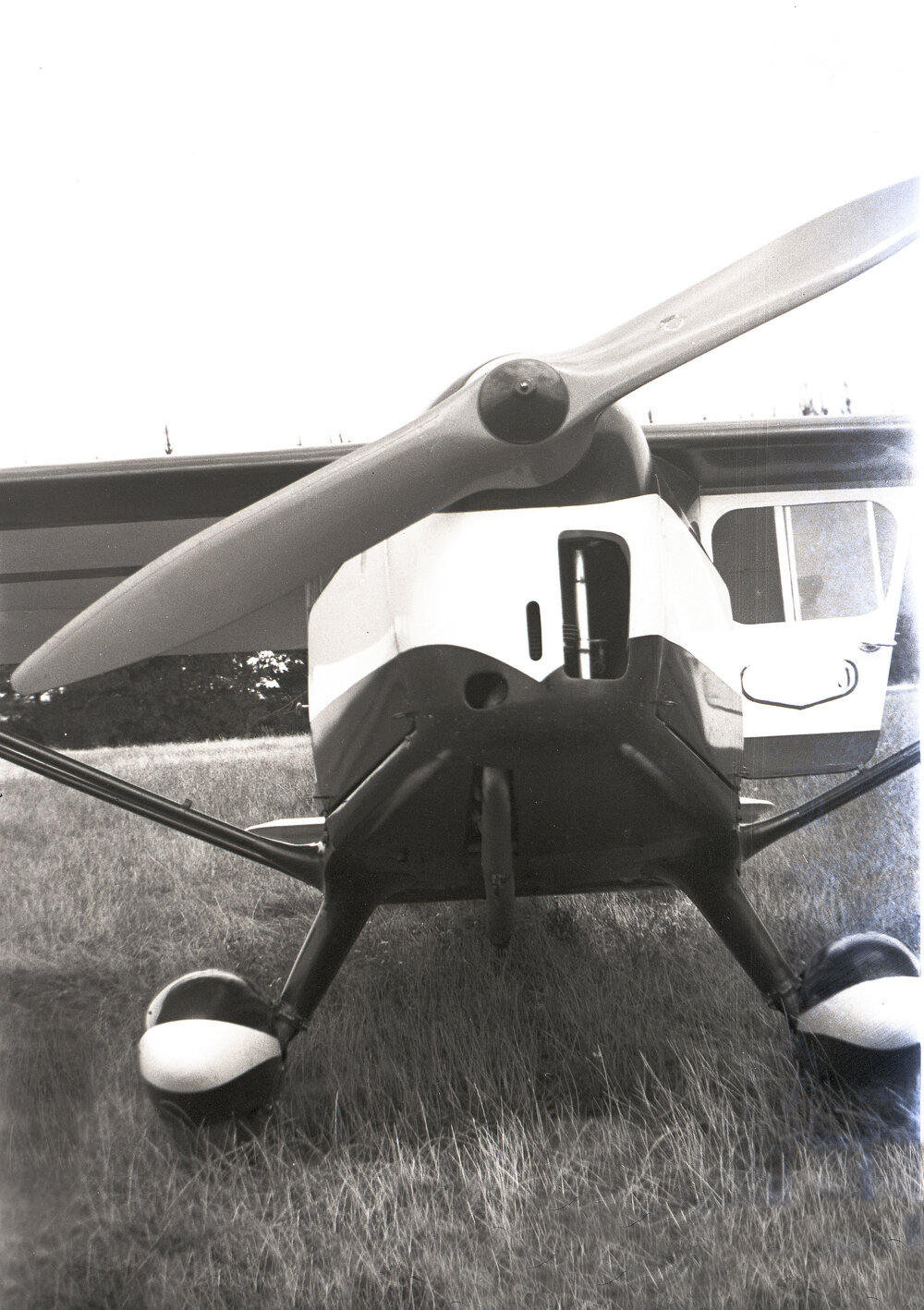 Foster Wikner Wicko  ZK-AGN