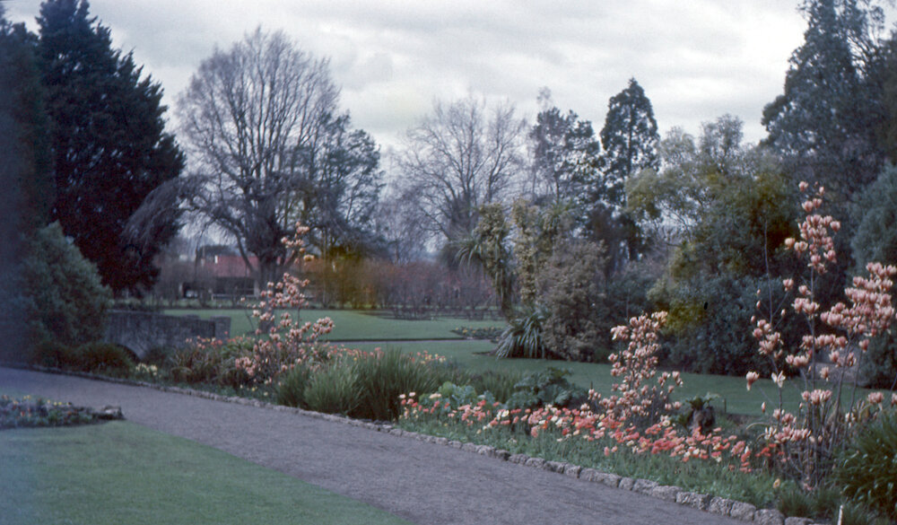 Cornwall Park Hastings