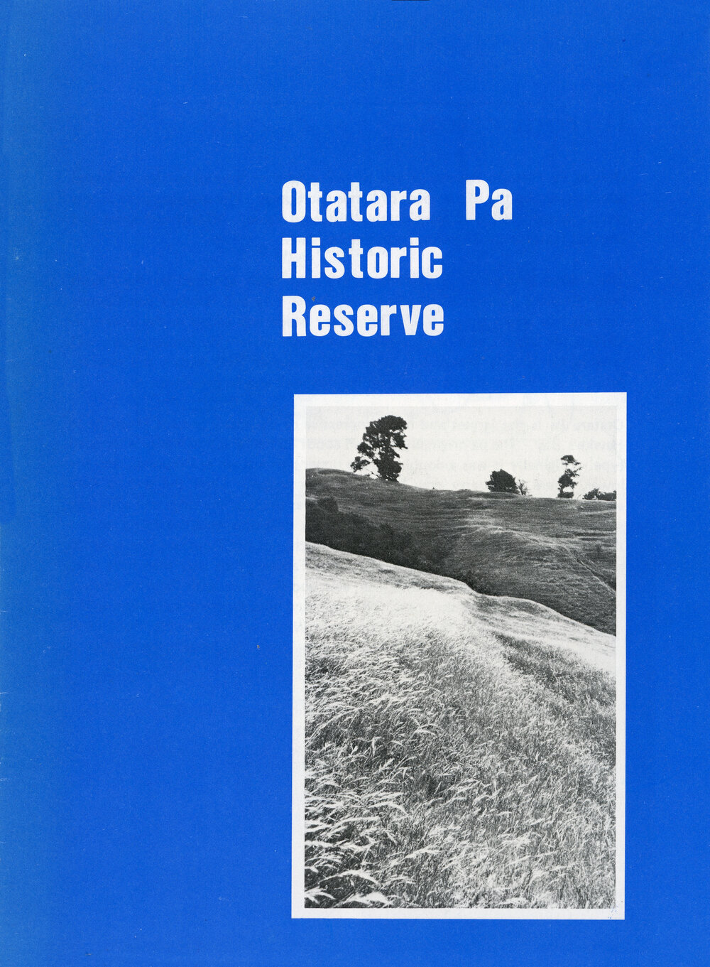 Ōtātara Pā Historic Reserve 