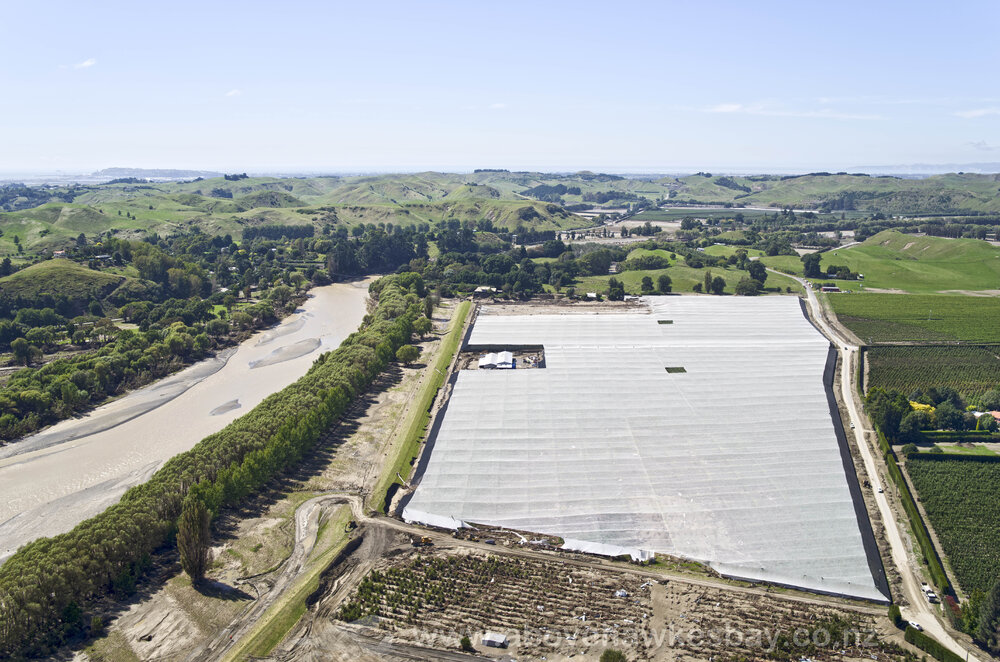 Kiwifruit Orchard at Moteo