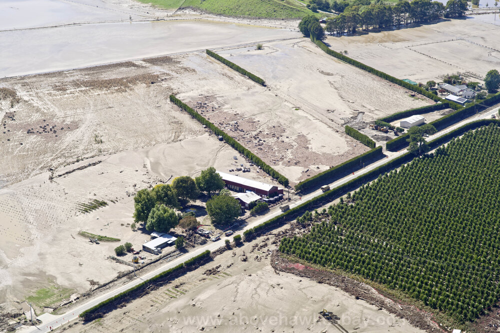 Shed 530 and Other Properties