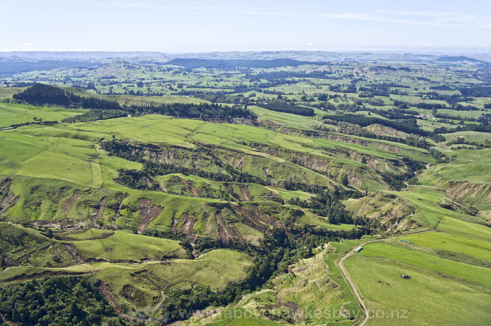 3925 Puketitiri Road