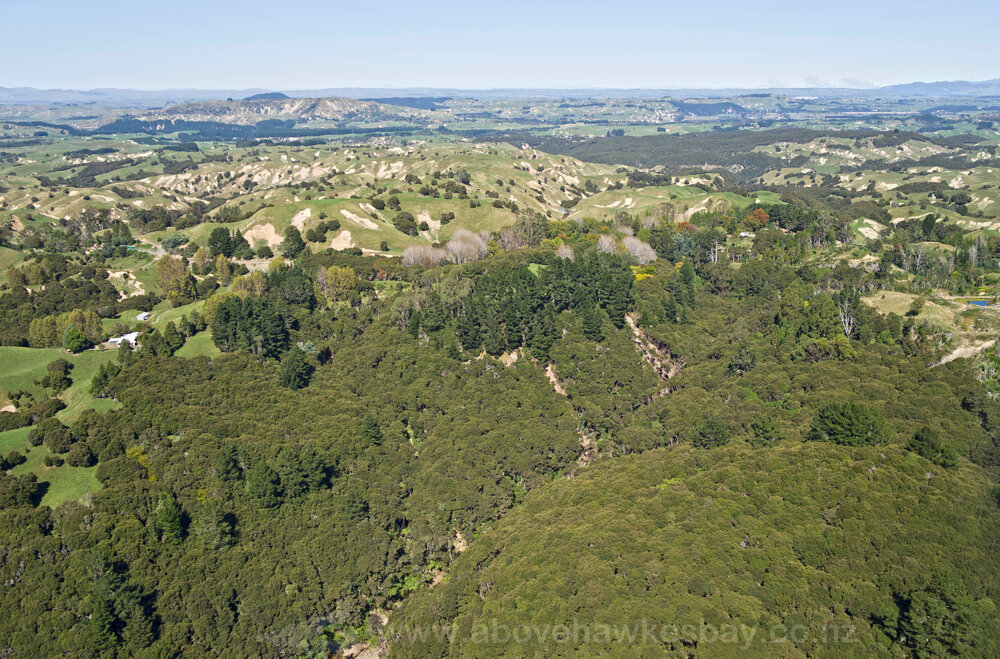 2938 Puketitiri Road