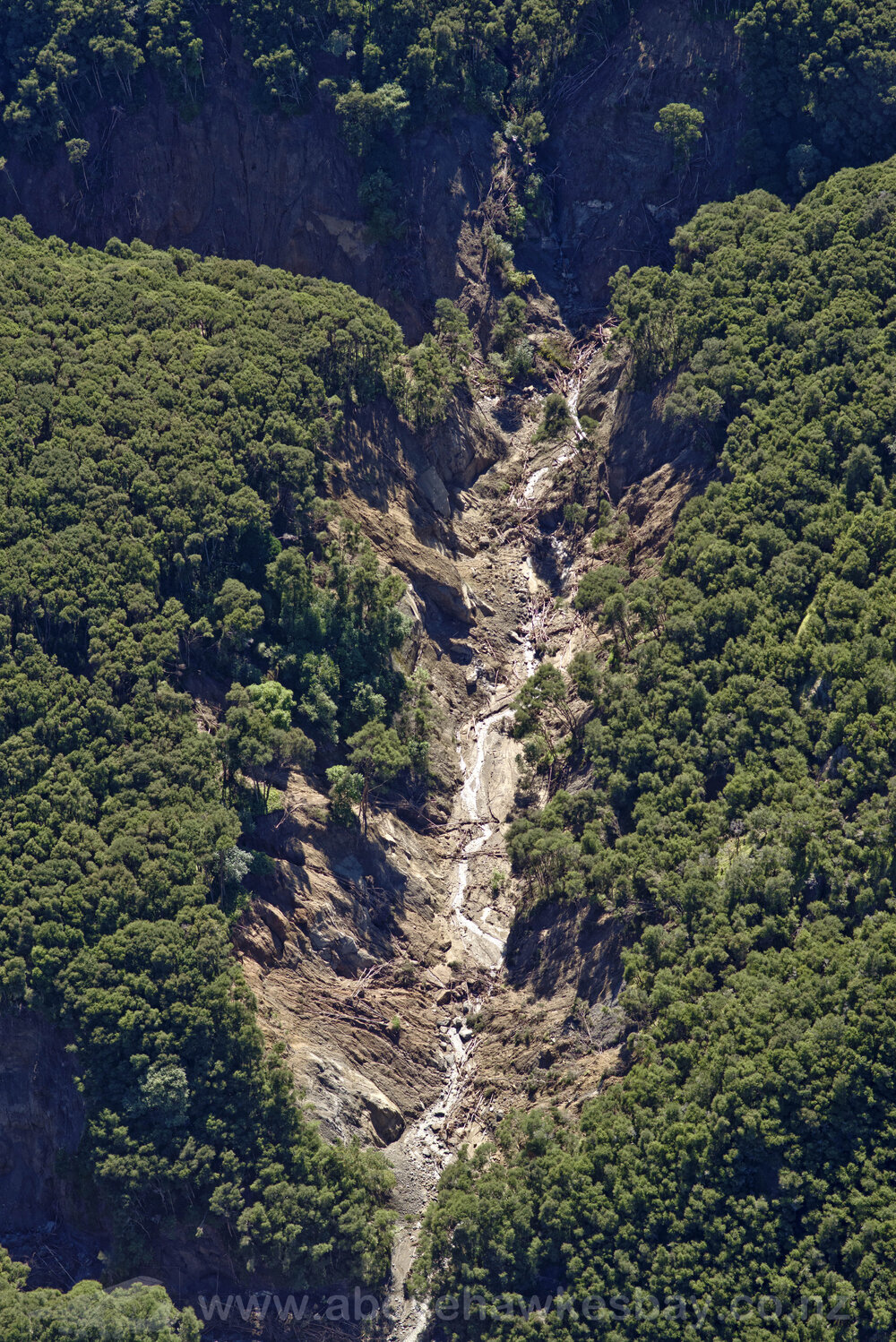 Kānuka Block Damage