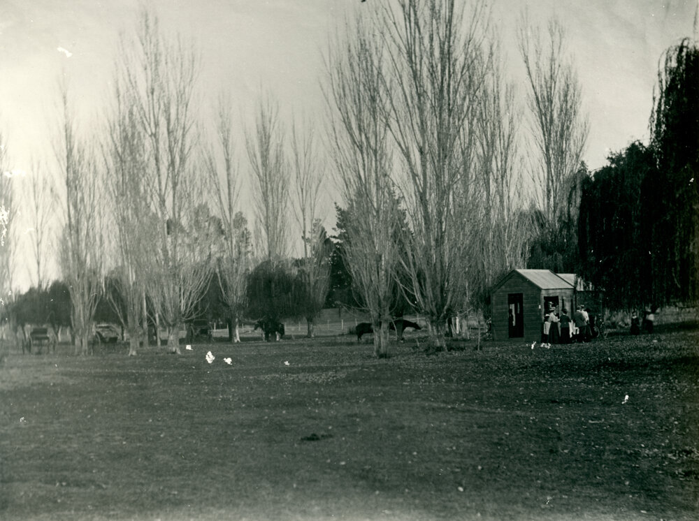 Golf Links, Karamu Road Hastings