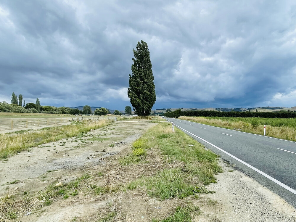 Dartmoor Road 2024