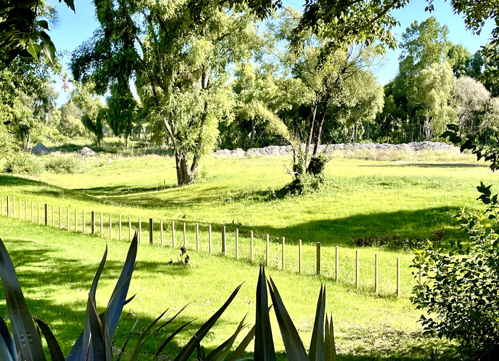Silt at Puketapu Park