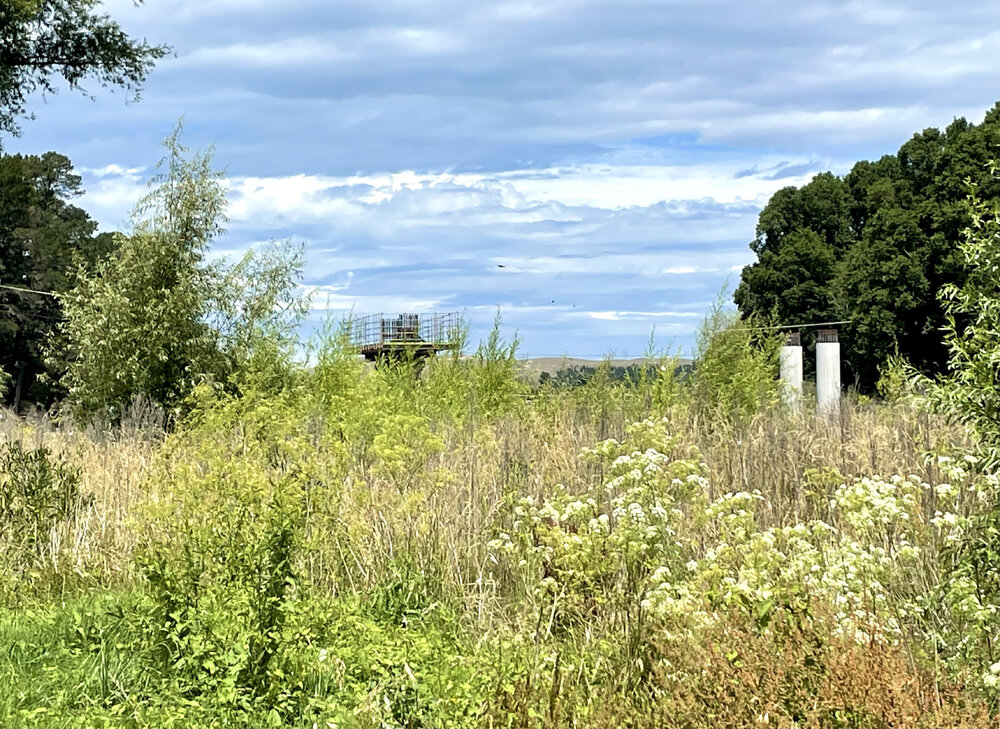 Puketapu Bridge Construction Begins