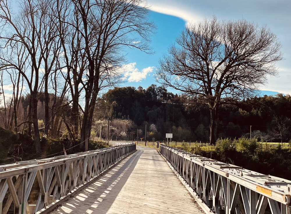 Rissington Bailey Bridge 2024