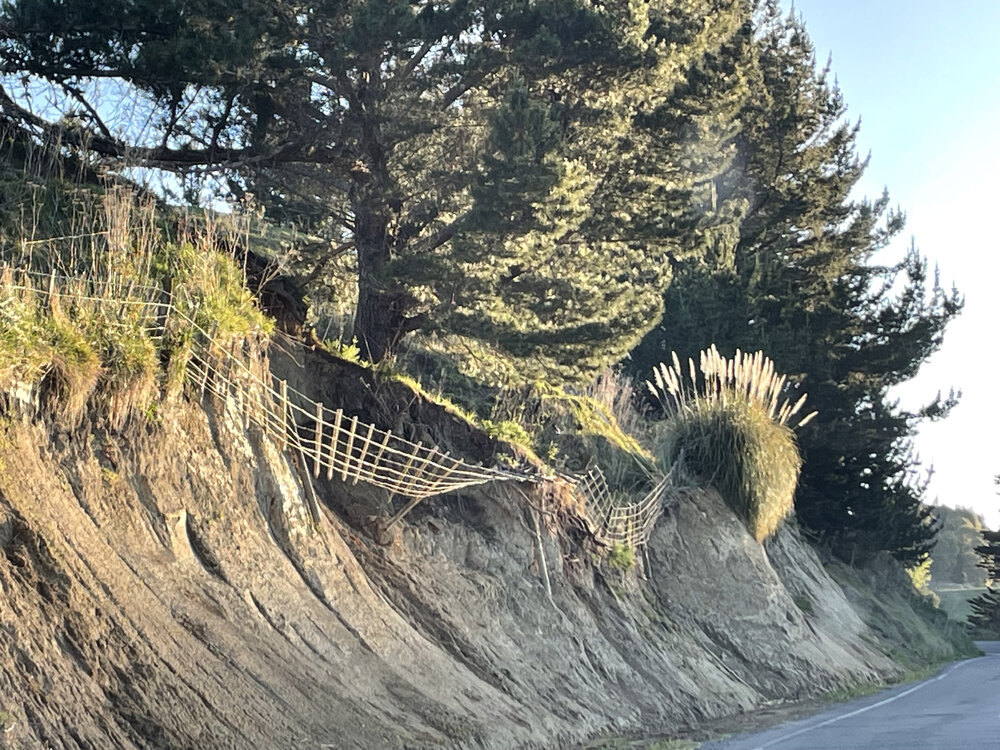 Broken Fence on Puketitiri Road