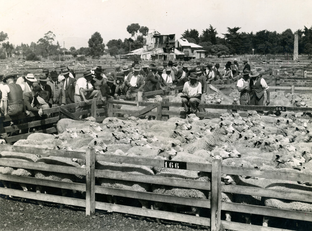 Stortford Lodge Sale Yards