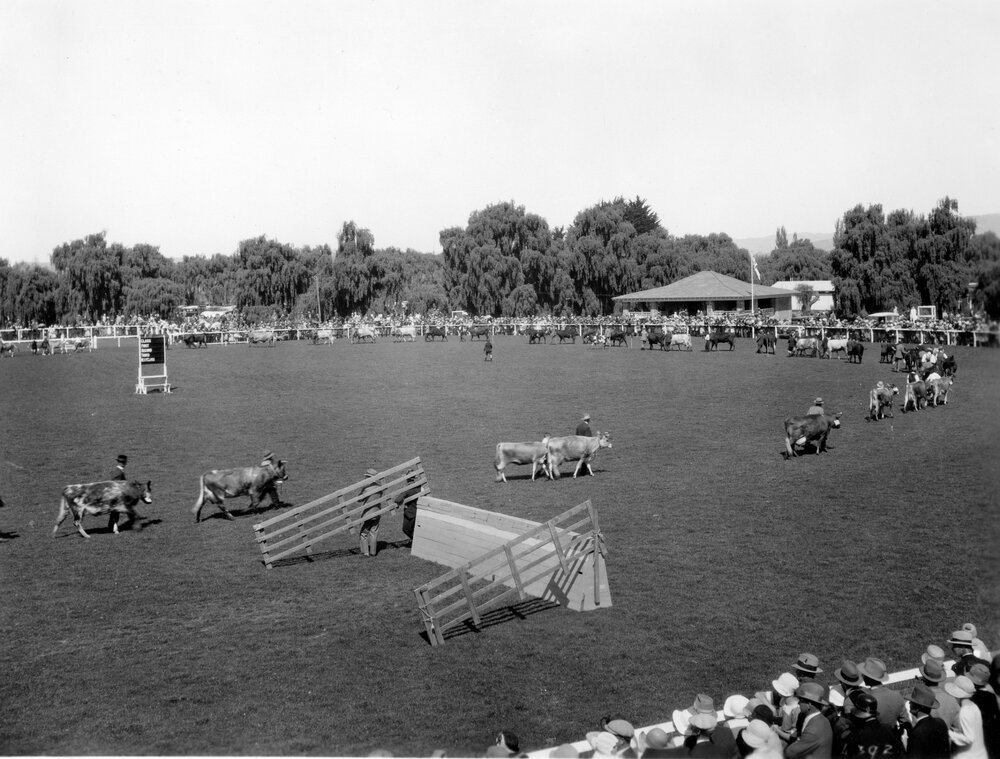 Grand Parade