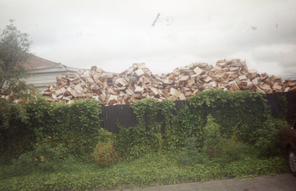 Woodpile and Overgrown Fence