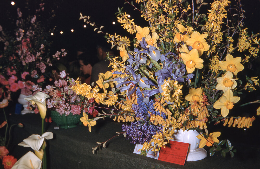 Flower Show Entries and Winner