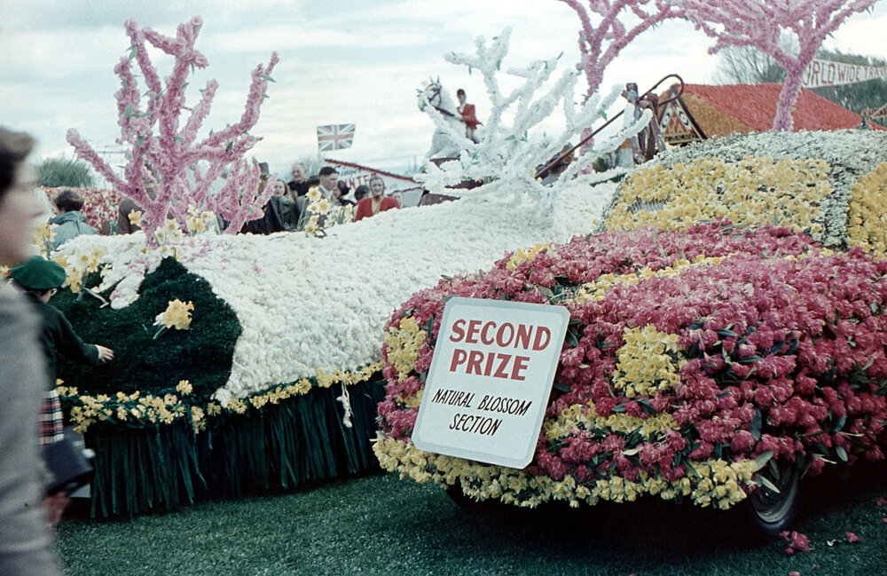 Acme School of Driving 1955