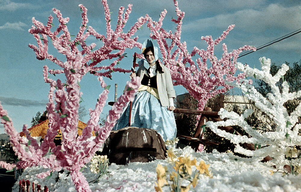 Hawkes Bay Farmers Float 1955