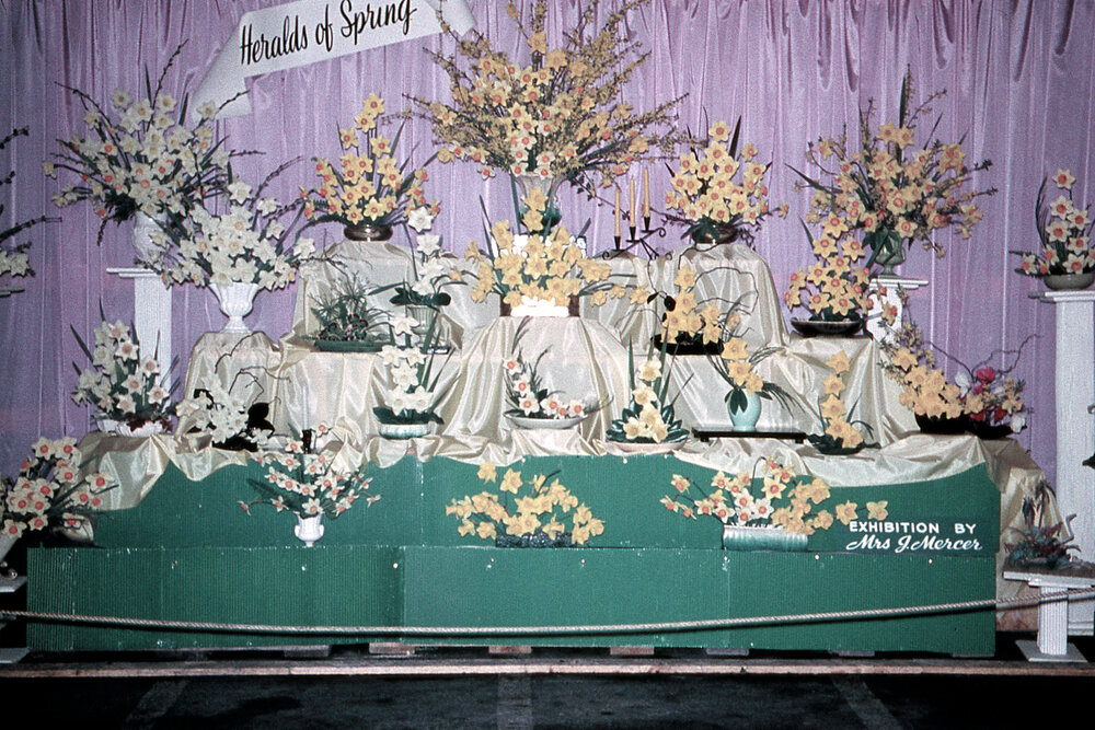 Daffodil Display