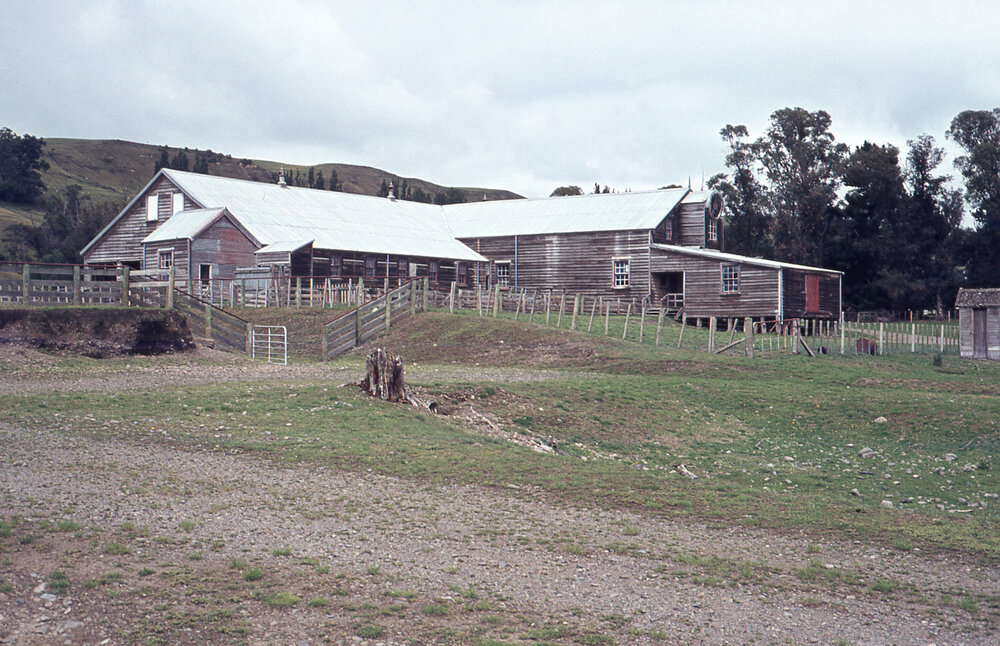 Maraekakaho Station Woolshed 