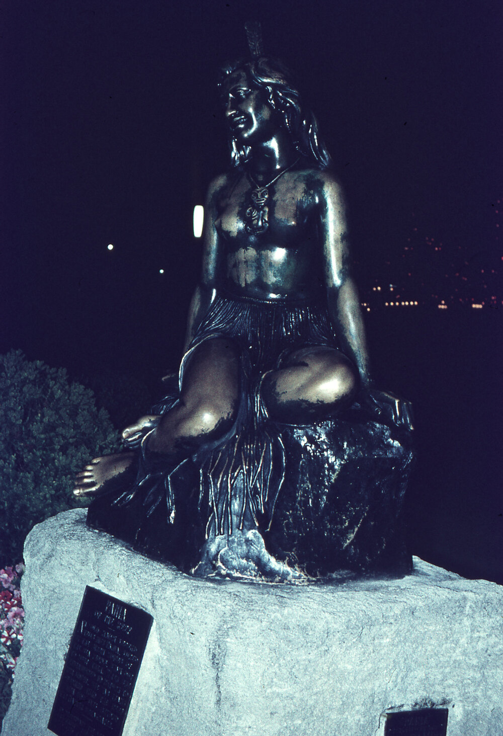 Pania at Night