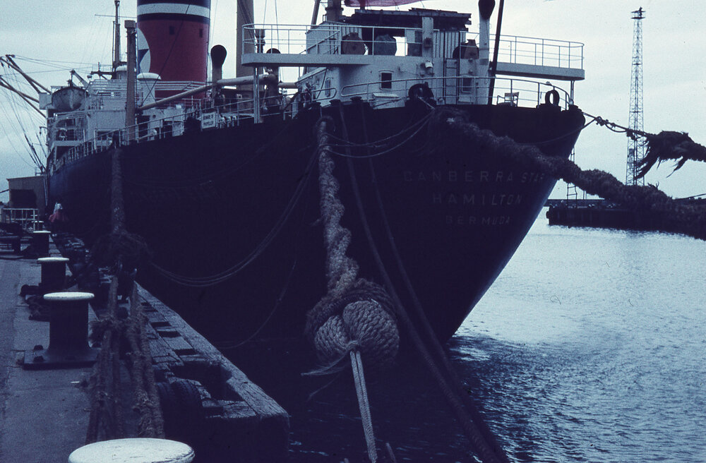 Canberra Star at Napier Port