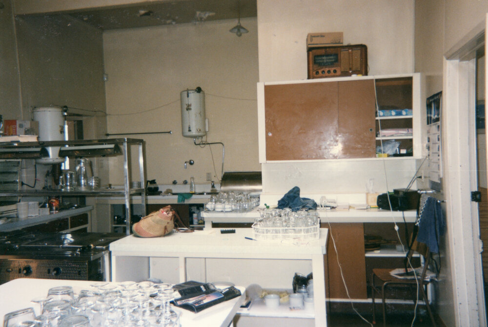Hastings Club Kitchen