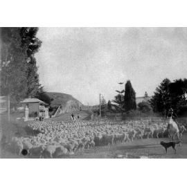 Fernhill Hotel