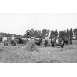Mowing Crops at Twyford Station