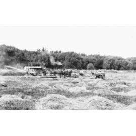 Threshing Machine at Fernhill