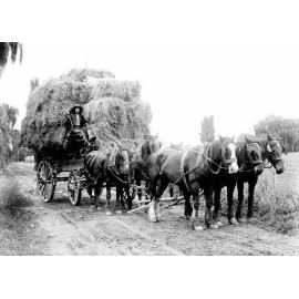 Hay Wagon at Twyford