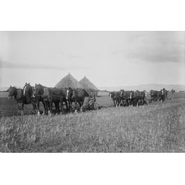 Ploughing in Stubble at Fernhill