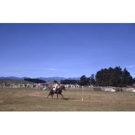 Tikokino Show Day 