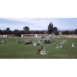 New Zealand Horse Society Annual Show