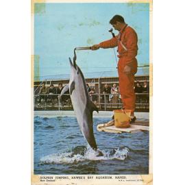 Dolphin Jumping at Aquarium