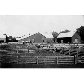Crissoge Station Stockyards and Woolshed