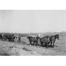 Horse Drawn Ploughs