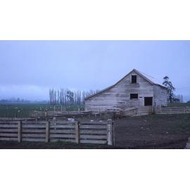 Woolshed on Middle Road