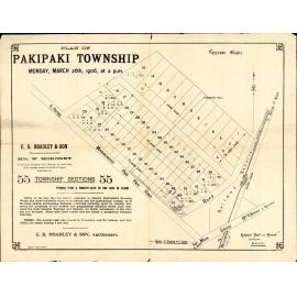 Plan of Pakipaki Township