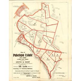 Plan of Puketapu Estate
