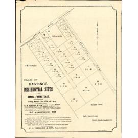 Plan of Hastings Residential Sites and Farmsteads