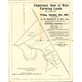 Plan of Pakowhai Farm Sections