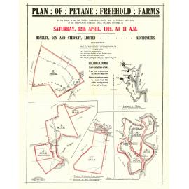Plan of Petane Freehold Farms