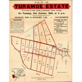 Plan of Turamoe Estate