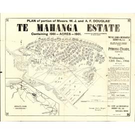 Plan of Te Mahanga Estate1906