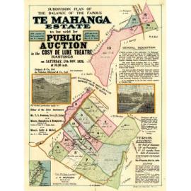 Plan of Te Mahanga Estate