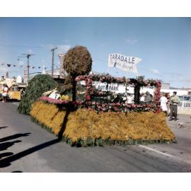 Taradale Float 1962